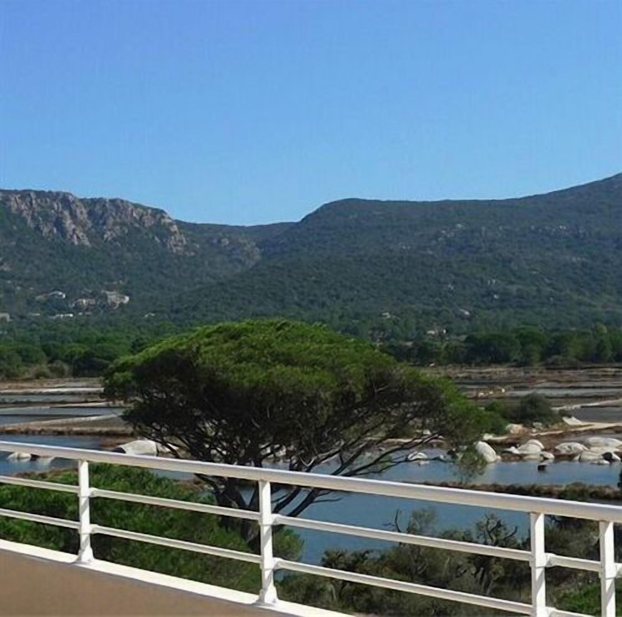 A river with a tree in the foreground and mountains in the background.