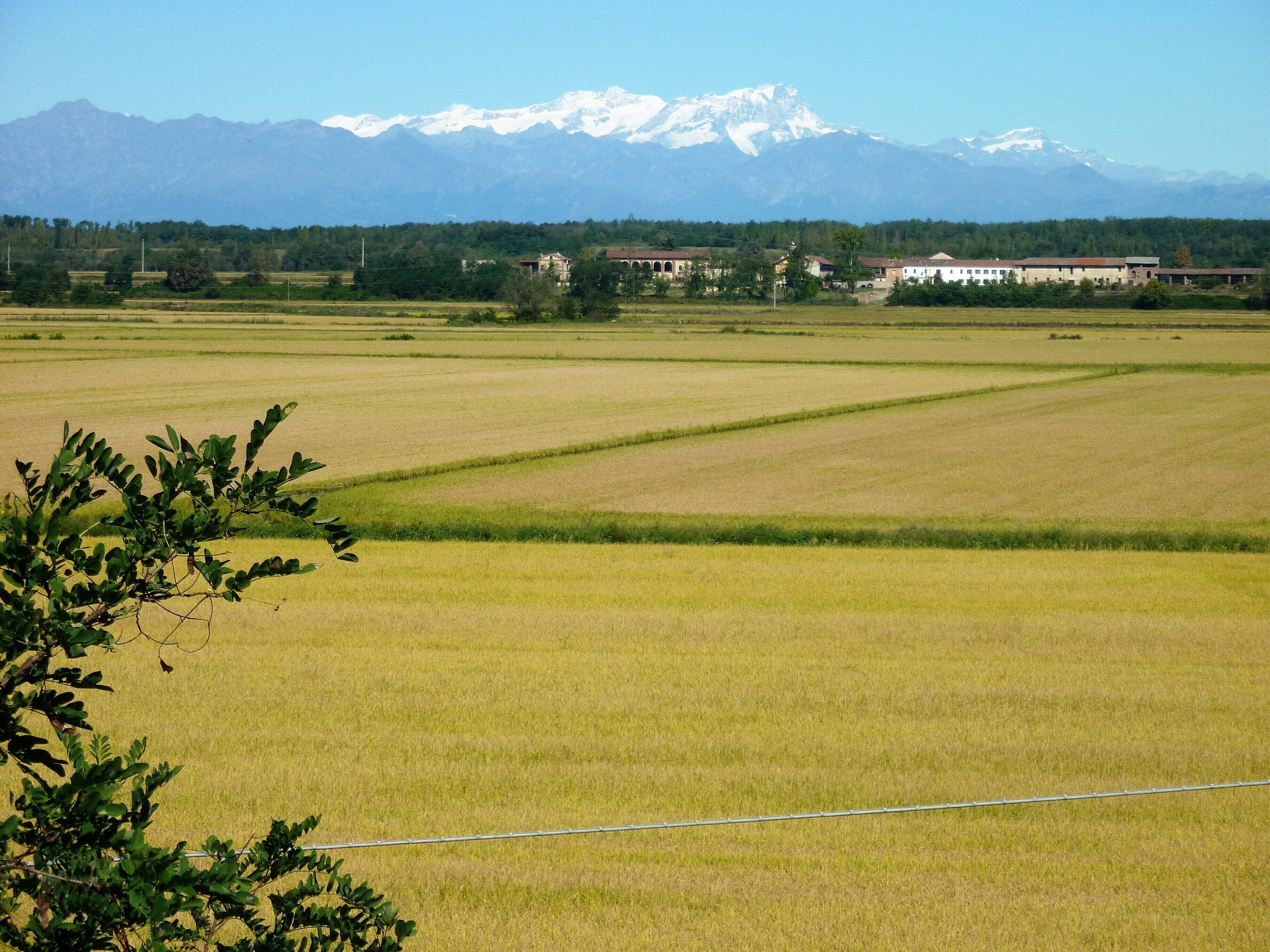 A wide, open field with a distant mountain range and buildings.