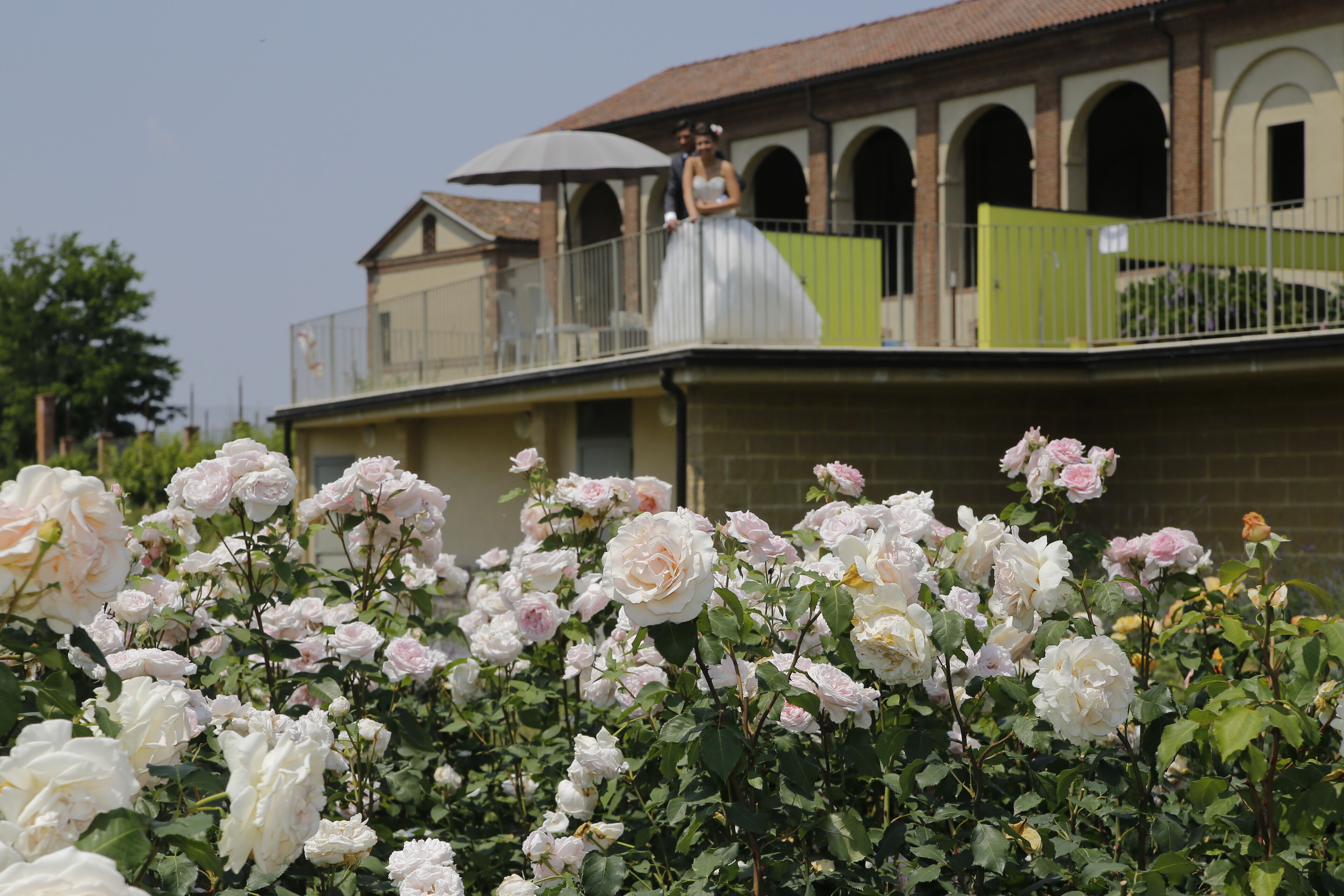 Un edificio con un balcone, circondato da rose bianche e rosa.