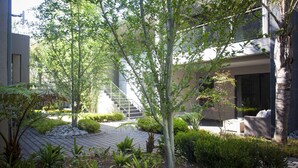 A modern outdoor area with a paved walkway, various plants, and a staircase leading to an upper level.