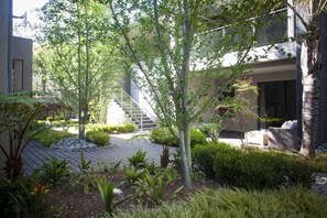 Garden - Villa Moyal (Johannesburg)