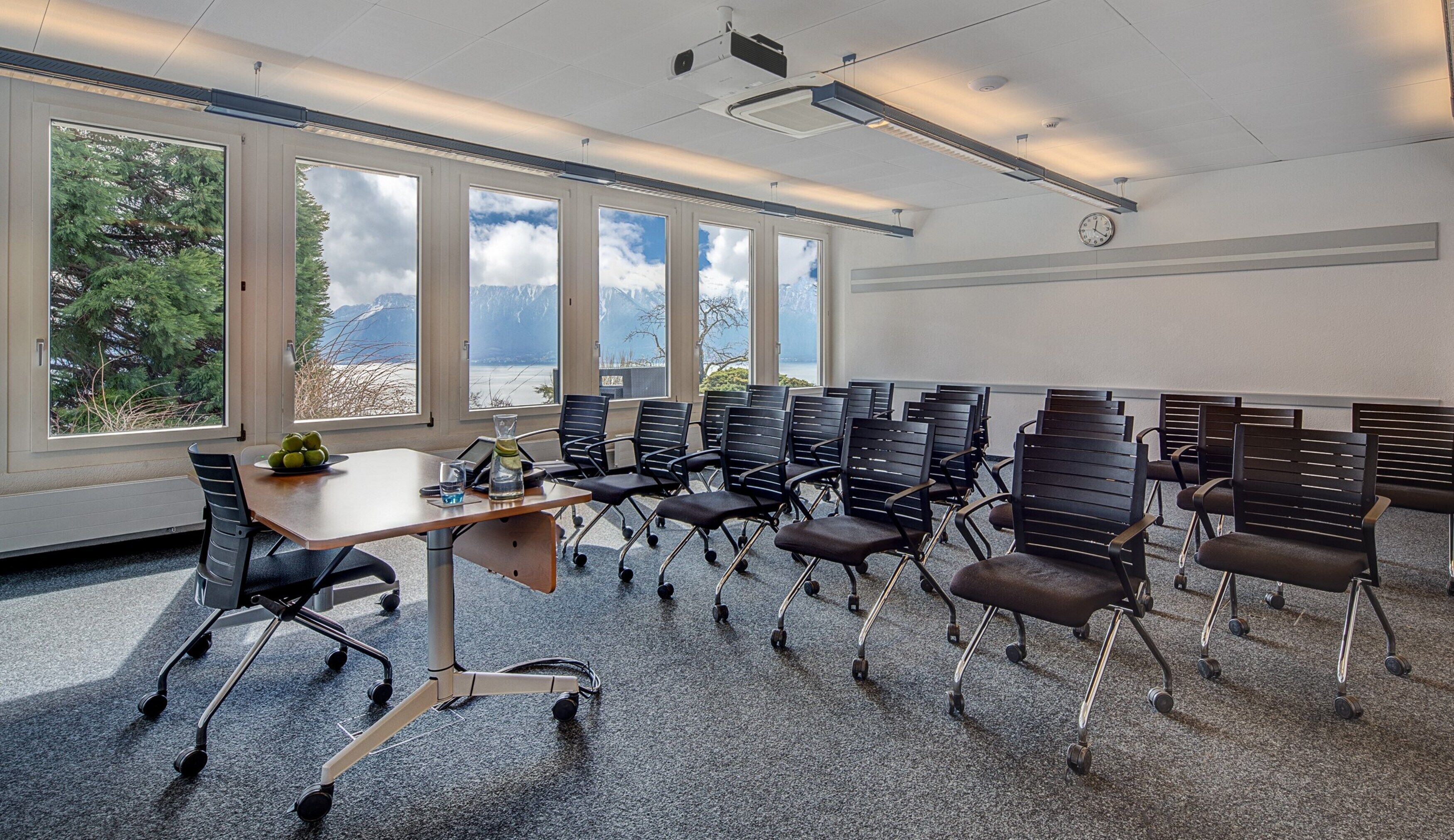 Photo - Hotel du Léman - Jongny