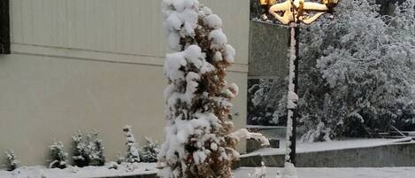 A snow-covered garden with a wooden fence and a street lamp in the background.