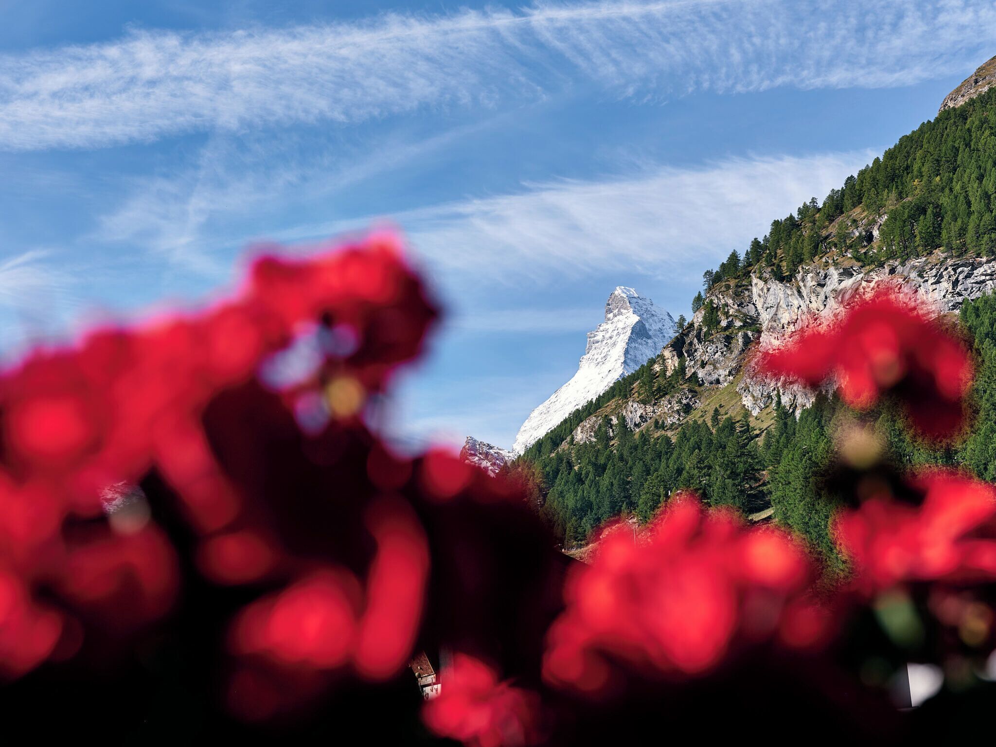 Foto - Hotel Ambassador Zermatt