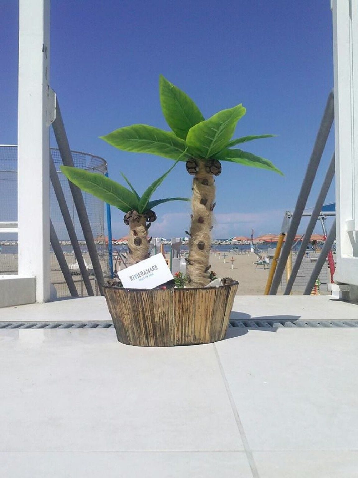 Un bac à fleurs contenant deux palmiers artificiels, portant l’inscription « Riveramare », sur un balcon donnant sur une plage.