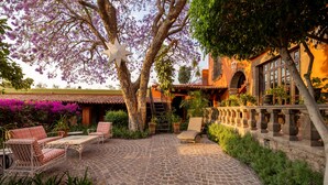 Un patio con sendero empedrado, mobiliario exterior y un gran árbol con flores moradas.