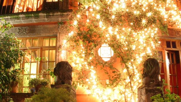Un edificio con una escalera que lleva a una puerta, rodeado de vegetación e iluminado con luces colgantes.