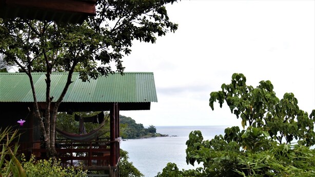 A wooden structure with a green roof overlooking a body of water.