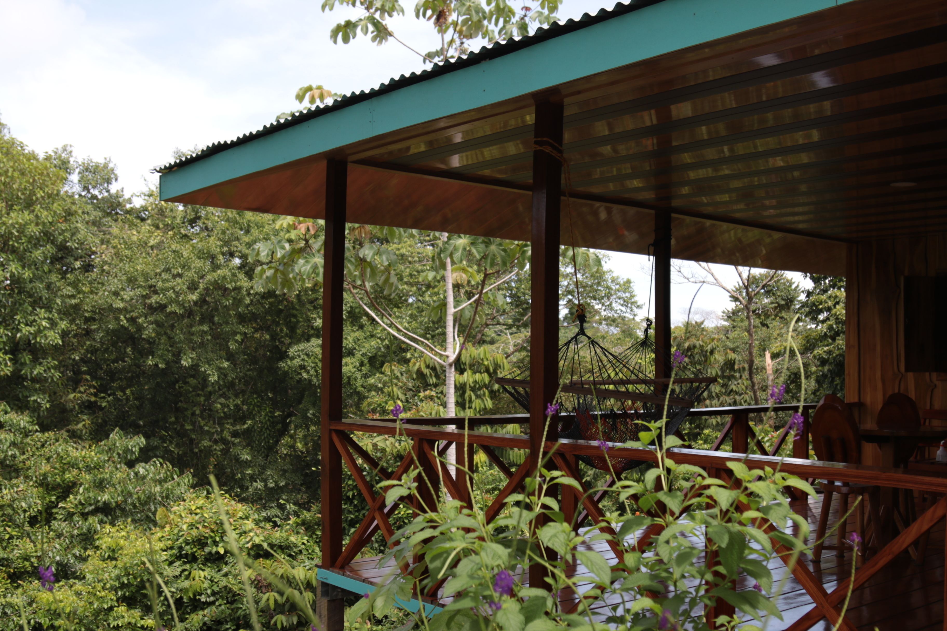 A wooden deck with a metal roof, surrounded by lush greenery.