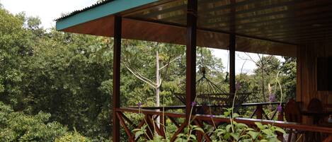 A wooden deck with a metal roof, surrounded by lush greenery.