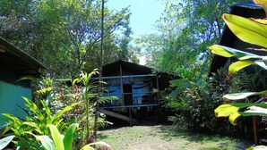 A rustic wooden structure with a thatched roof, surrounded by dense tropical vegetation.