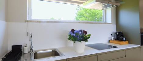 A modern kitchen with a stainless steel sink, a window above the counter, and a potted plant.