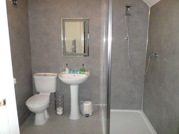 Un baño con inodoro, lavamanos y ducha.