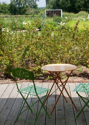Executive Room, Accessible, Garden View | View from room