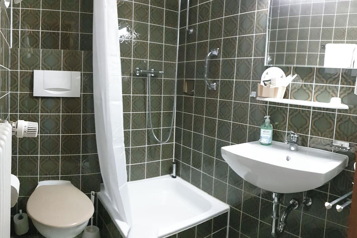 standard twin room, 1 bedroom, city view | bathroom | shower, hair dryer, towels