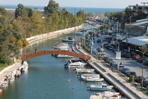 Playa en los alrededores y pesca