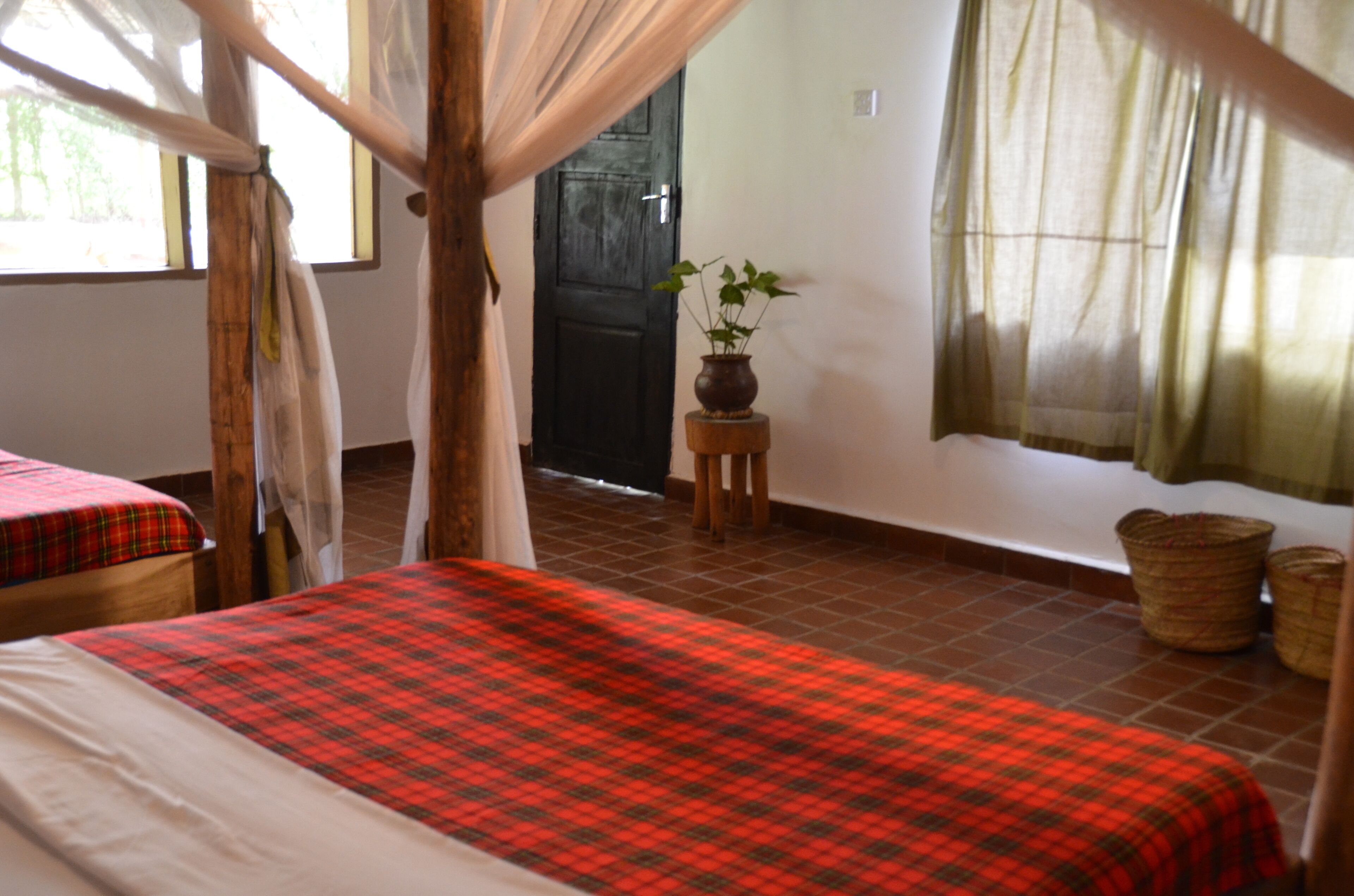 Una habitación con una cama, una mesita con una planta y una puerta.