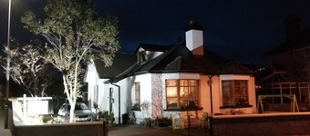 The Oystercatcher