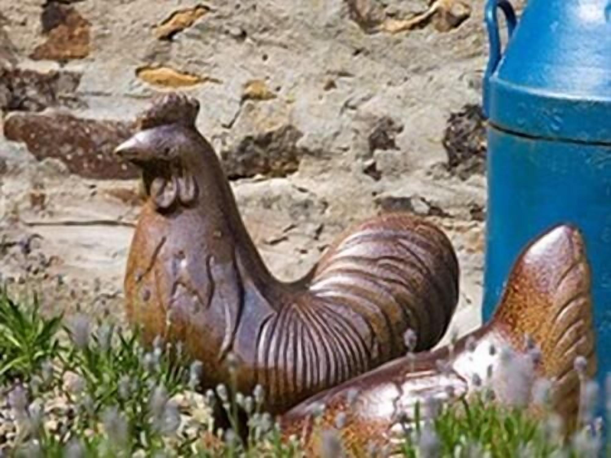 Une sculpture de coq devant un tonneau bleu.
