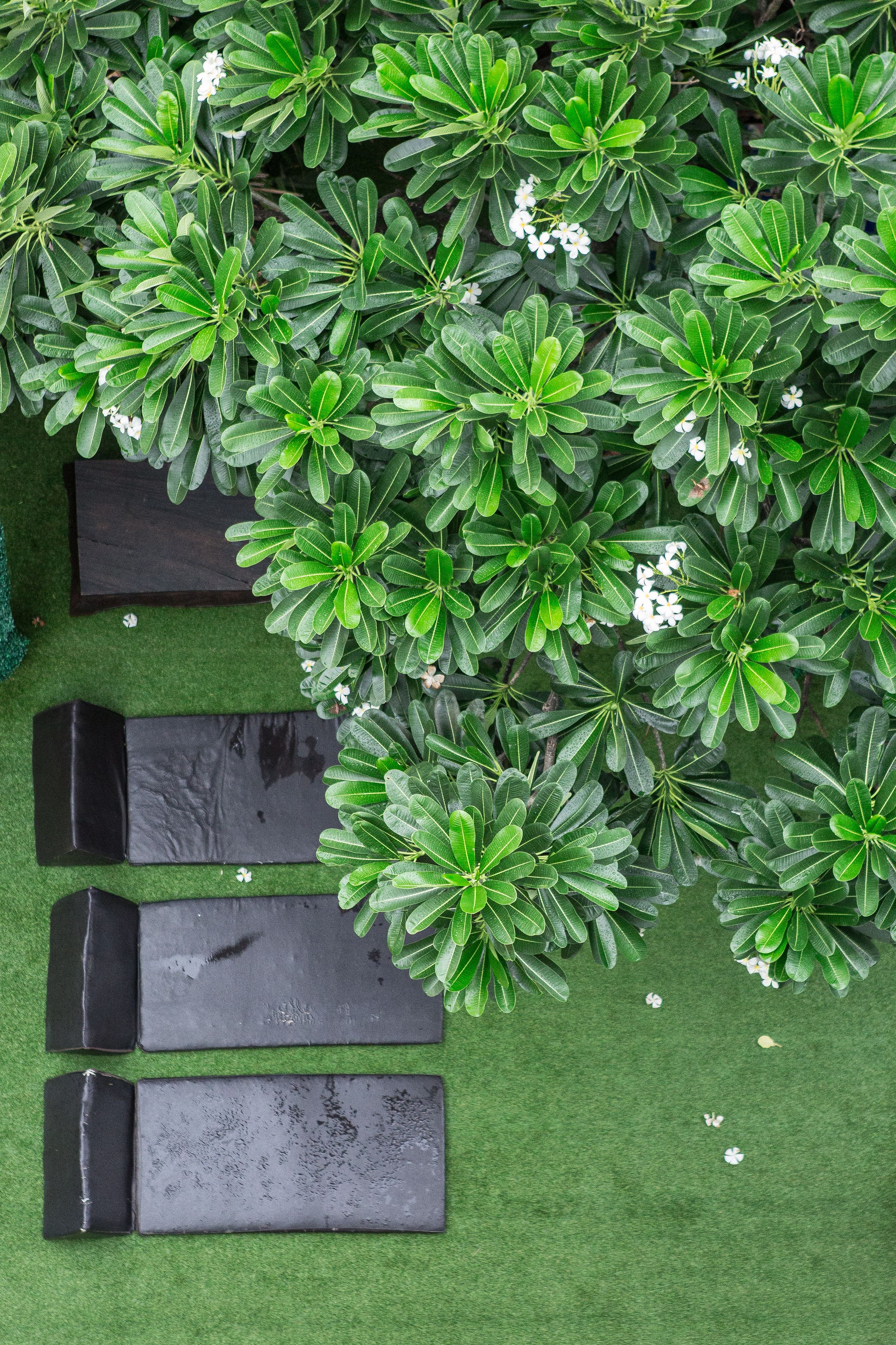 Photo - Singha Montra Lanna Boutique Style Hotel