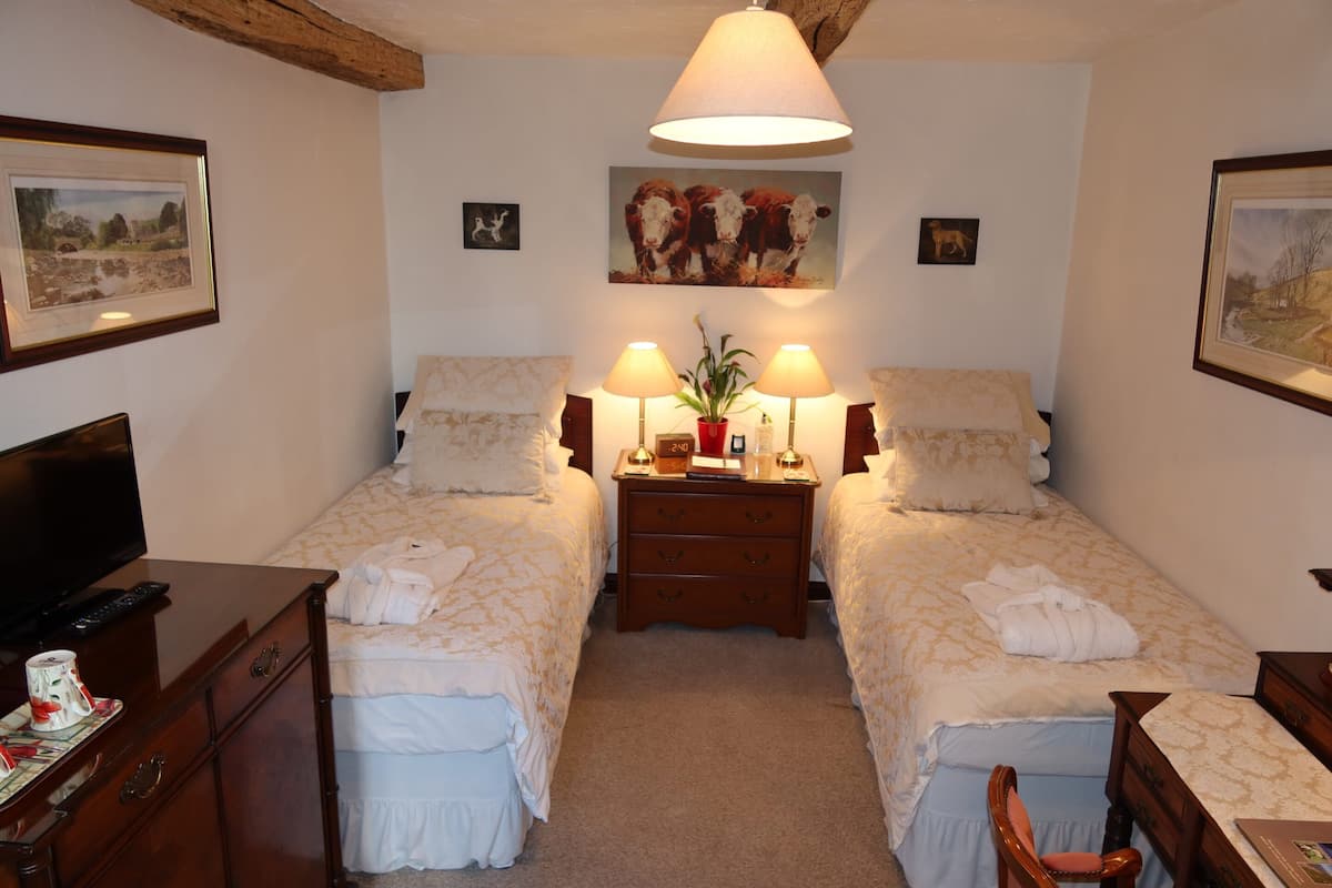 A hotel room with two beds, a TV, a dresser, and a lamp.
