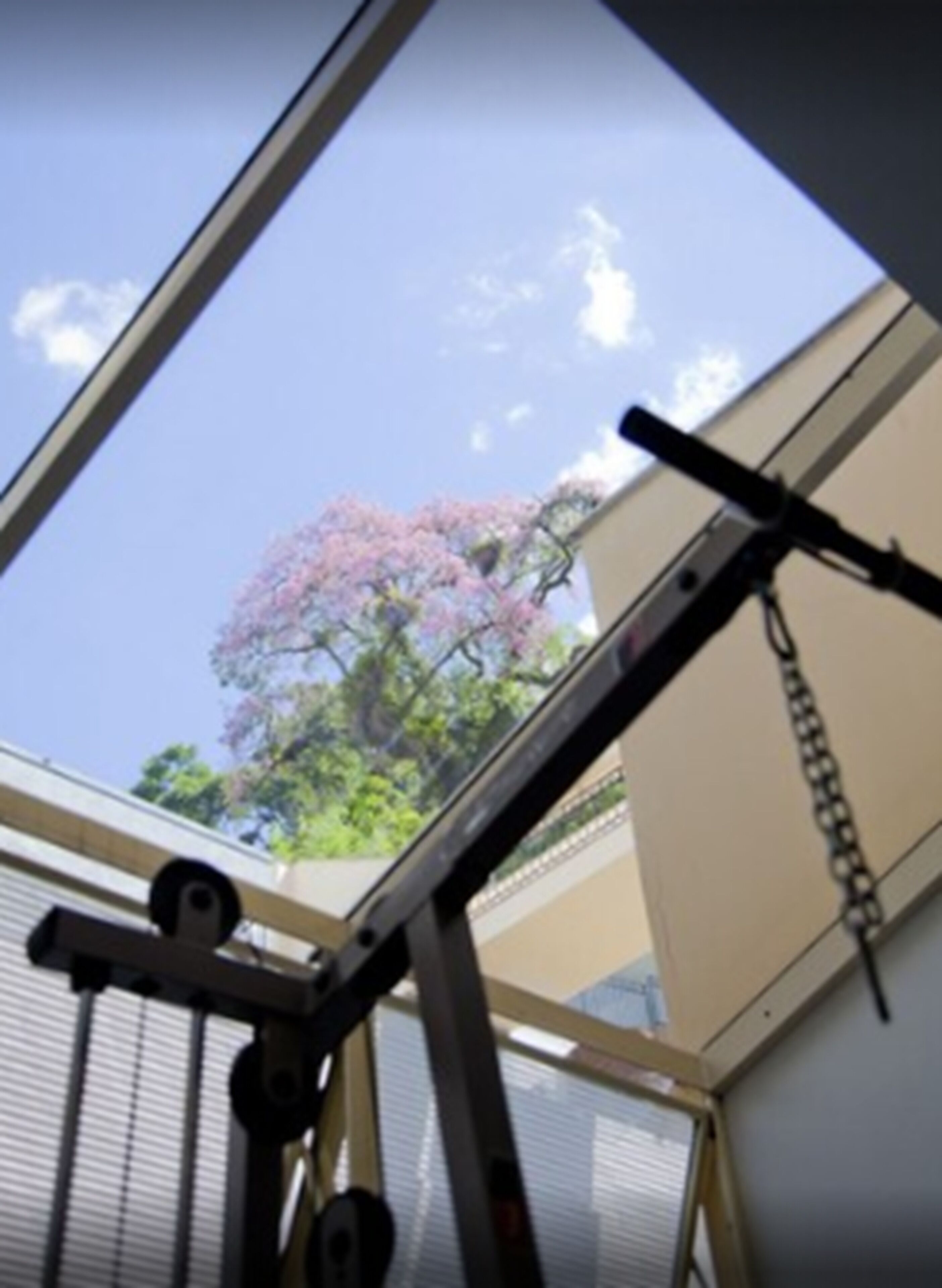 A skylight with a view of a tree with pink blossoms.