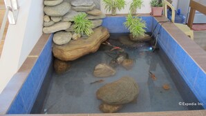 A small indoor pond with rocks and plants, a clay pot, and a water pump. - Sea Jewel Beach Resort Puerto Galera (Puerto Galera)