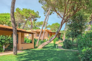 A courtyard with a pathway, trees, and a building with a yellow facade.