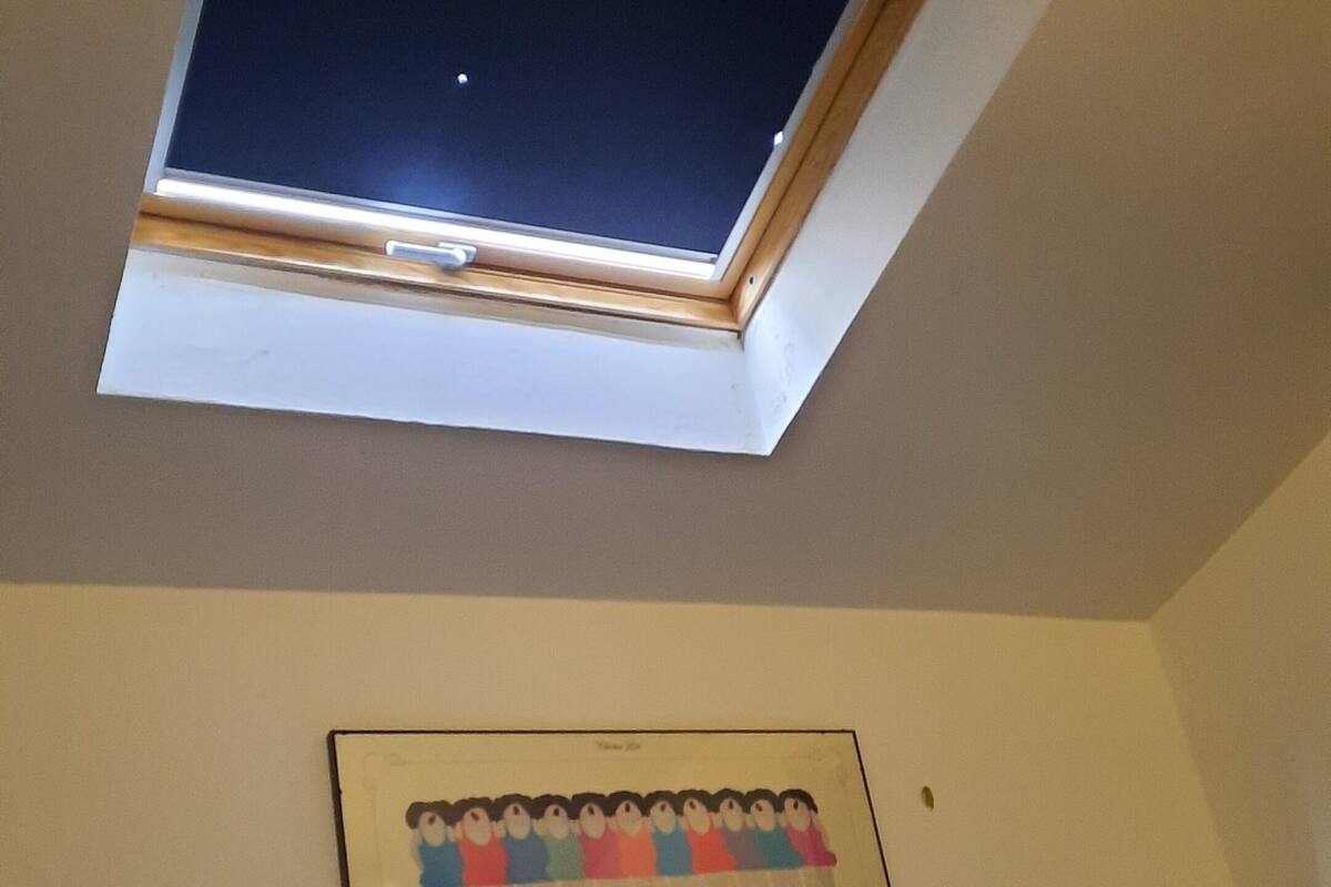 A room with a skylight, a framed picture on the wall, and a bed with a blue cover.
