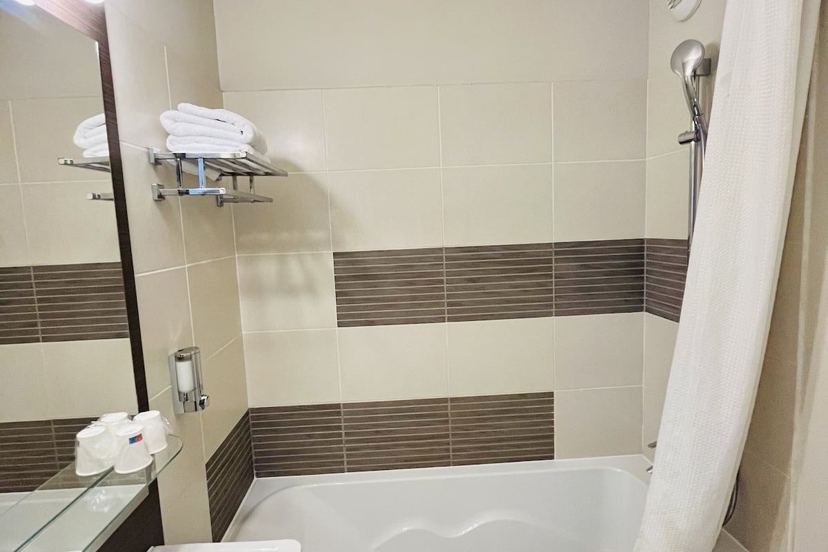 hair dryer, towels, soap, shampoo