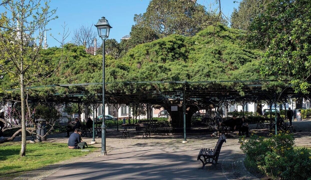 Foto - Casa Oliver Boutique B&B - Principe Real