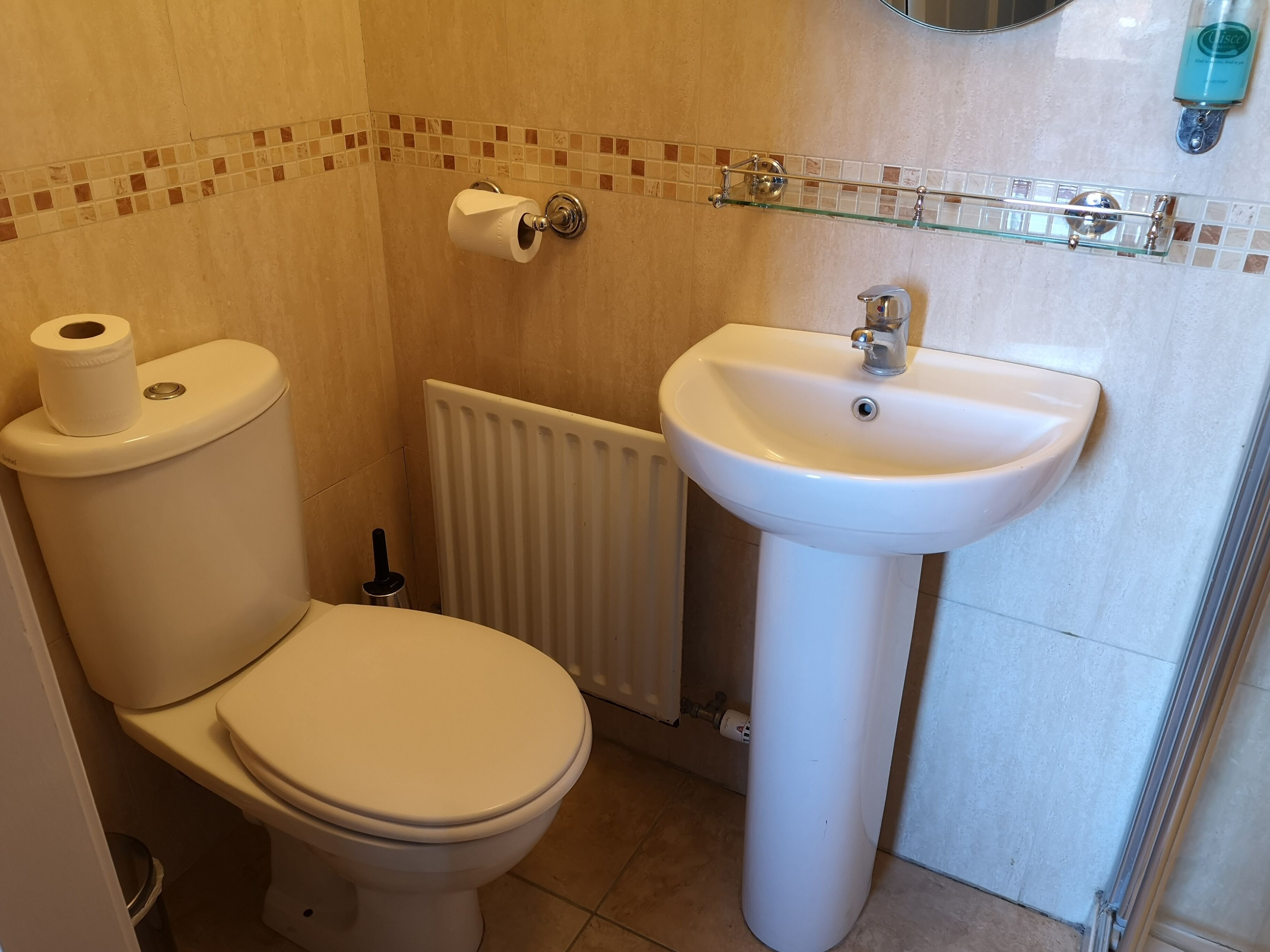 A bathroom with a toilet, a glass shelf with toiletries, and a white sink.
