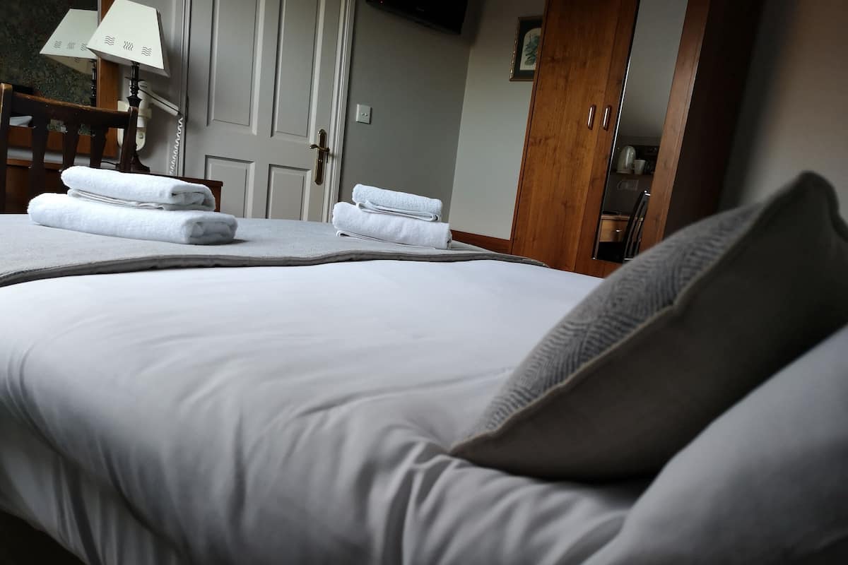 Standard Tek Büyük Yataklı Oda, Engellilere Uygun, Banyolu/Duşlu | Kablosuz İnternet