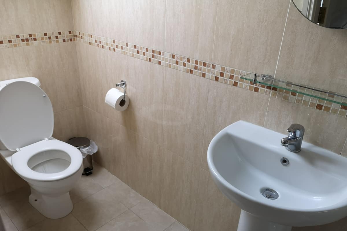 Standard Tek Büyük Yataklı Oda, Engellilere Uygun, Banyolu/Duşlu | Banyo | Havlu