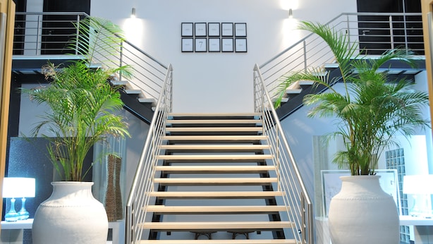 A staircase with a white wall and framed numbers above, flanked by potted plants. - Quinta do Molinu (Lourinha)