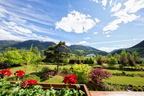 Vista desde la habitación