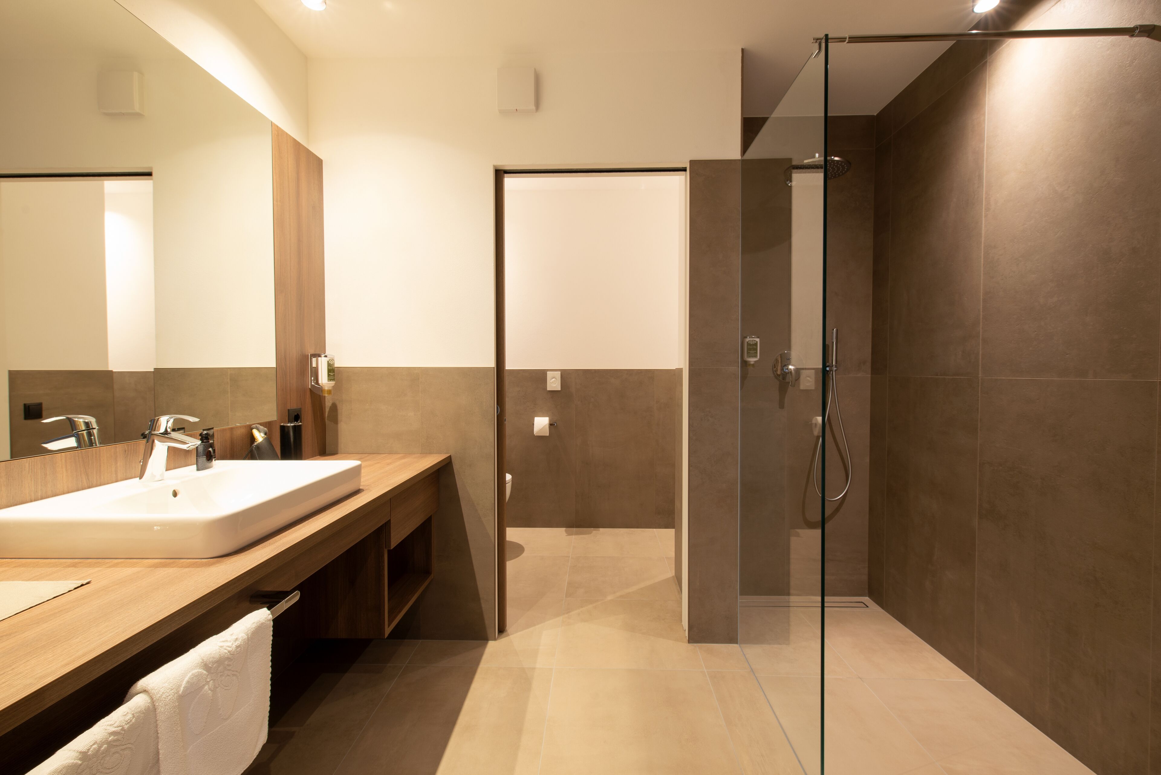A modern bathroom with a large sink, mirror, and glass shower enclosure.