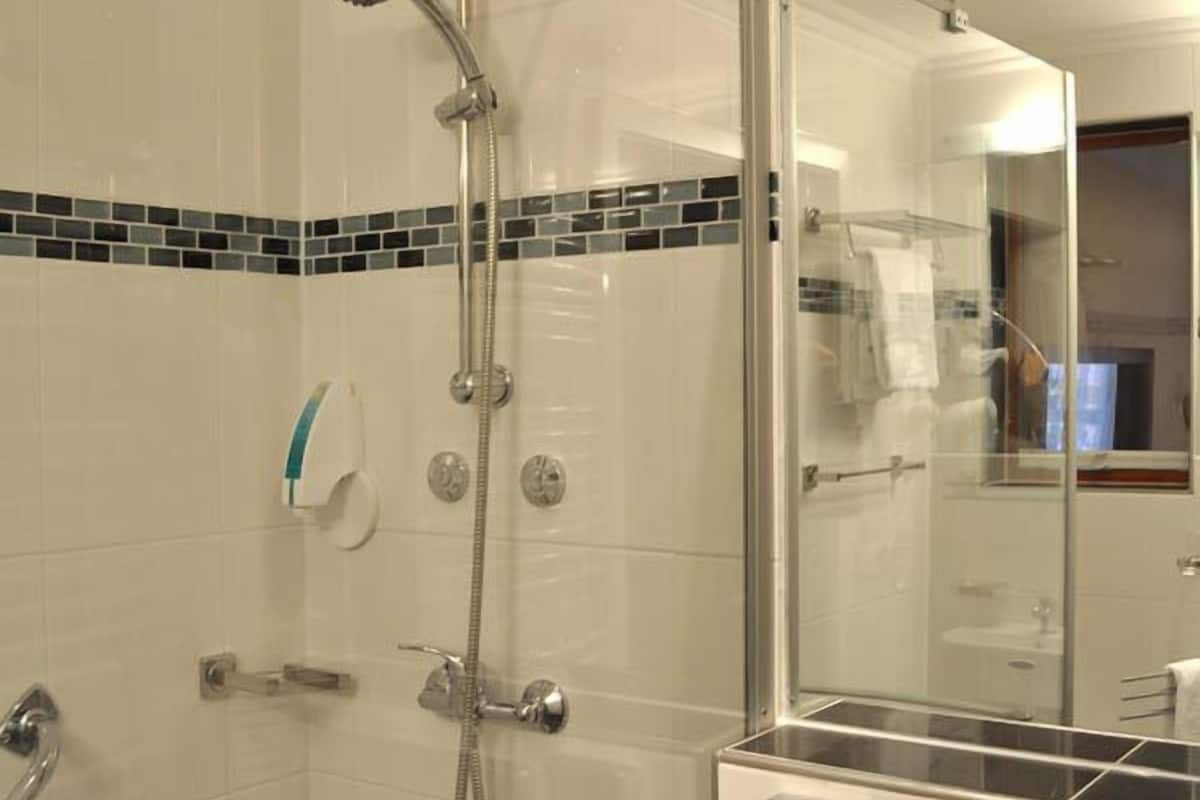 standard apartment | bathroom shower