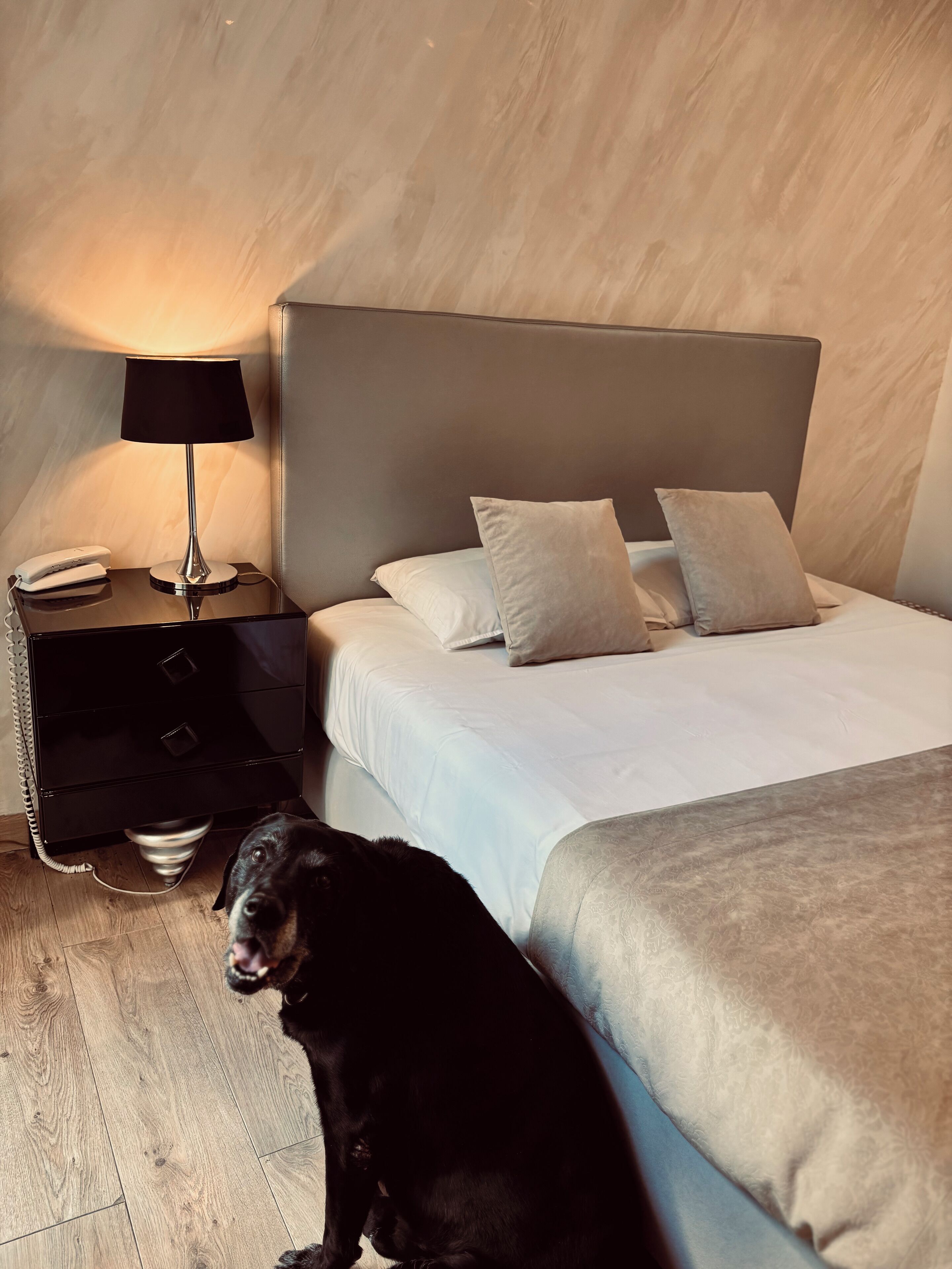 Photo - Logis Hôtel Saint Martin