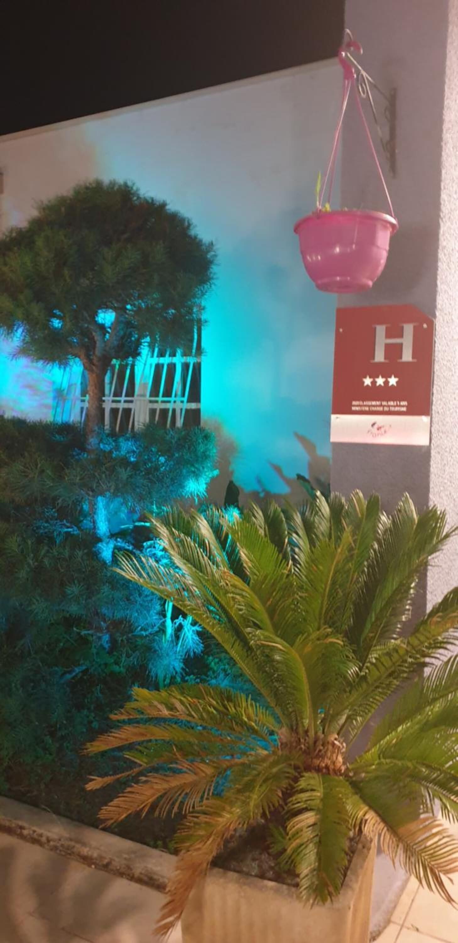 المنشأة من الداخل