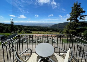 Double Room, Mountain View