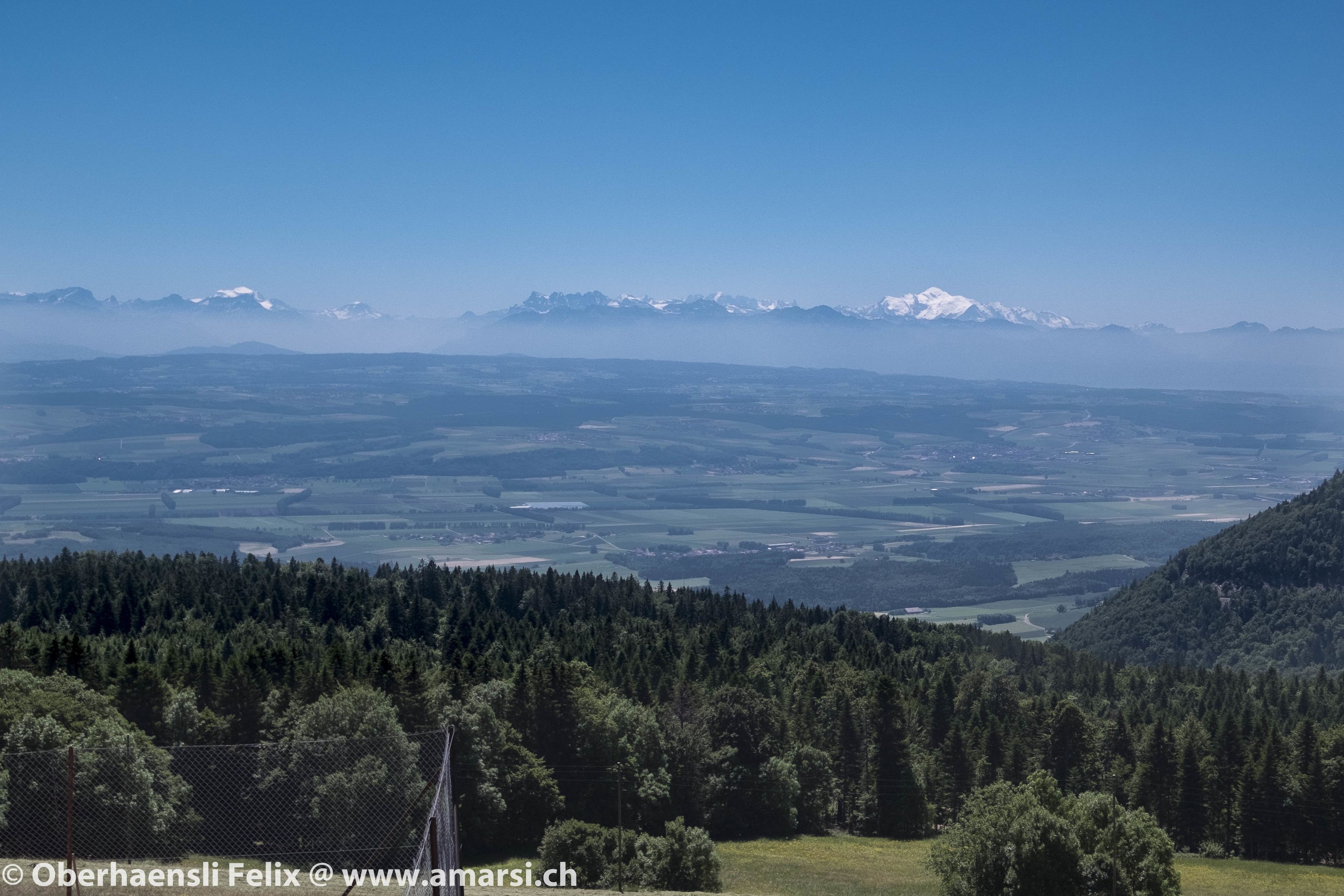 Vista panorámica de un paisaje montañoso con bosques densos y picos nevados a lo lejos.