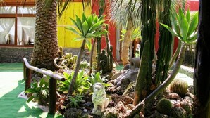 Un jardín de cactus con diversas especies de cactus y suculentas, una pequeña estatua de rana decorativa y una valla de madera.
