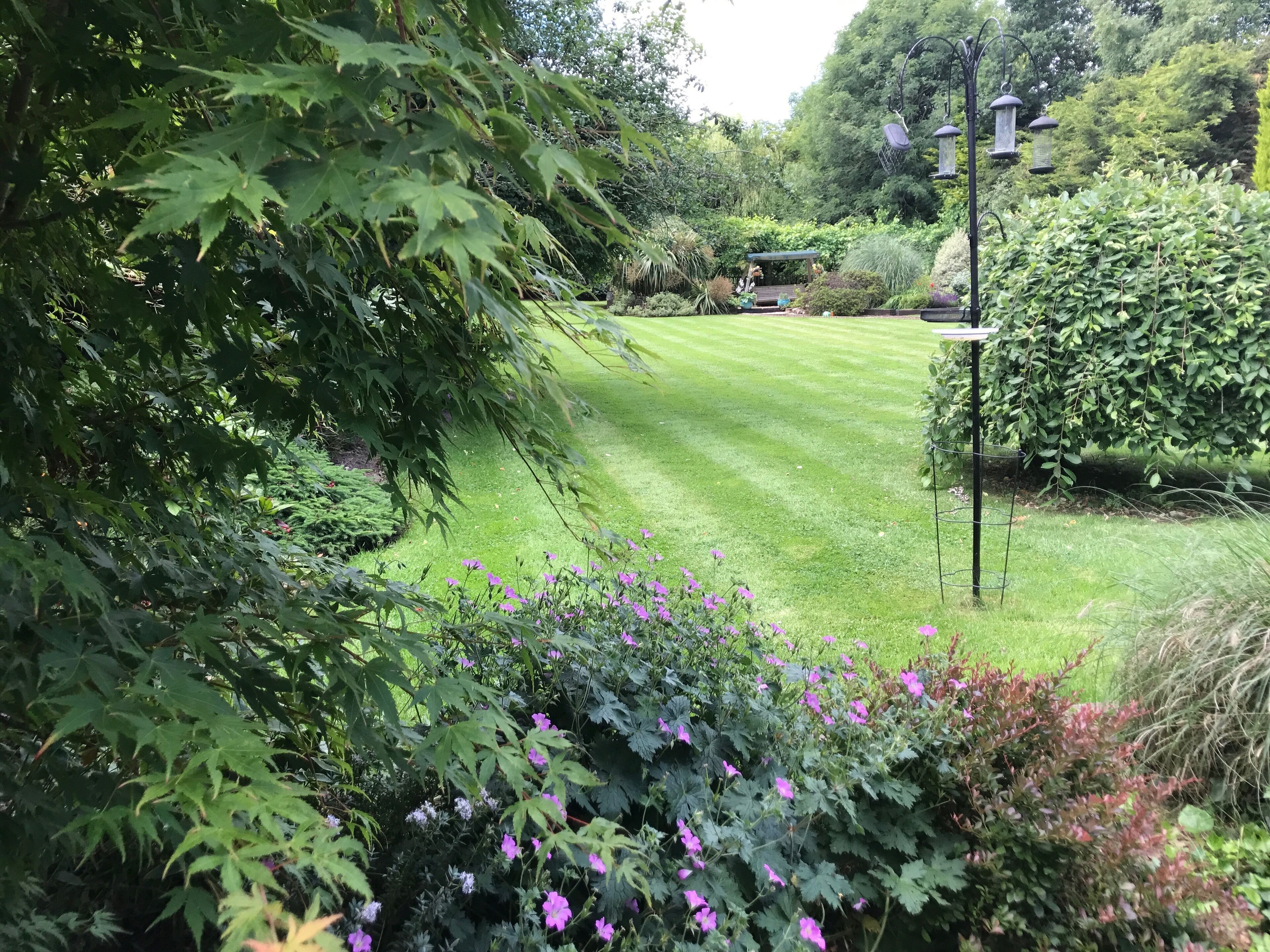 Un jardín bien cuidado con césped, arbustos variados y plantas con flores.