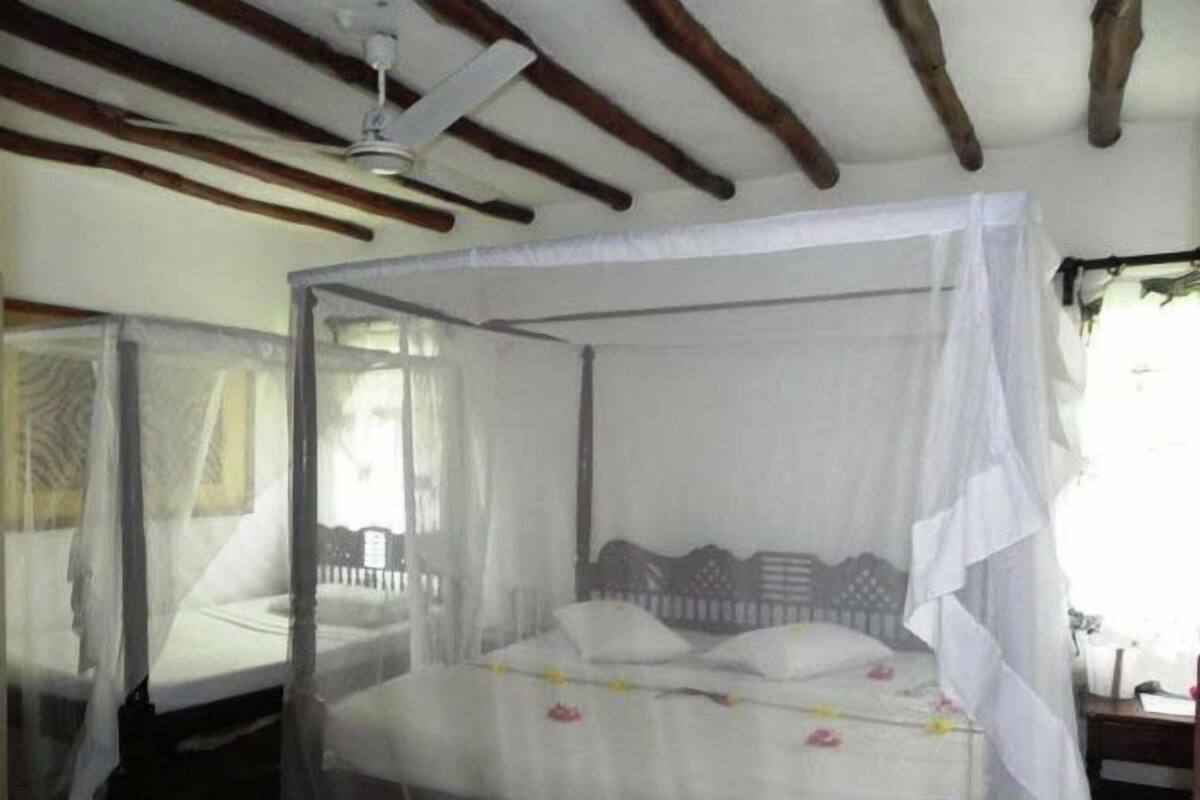 A room with a bed under a mosquito net, a wooden ceiling, and a window.