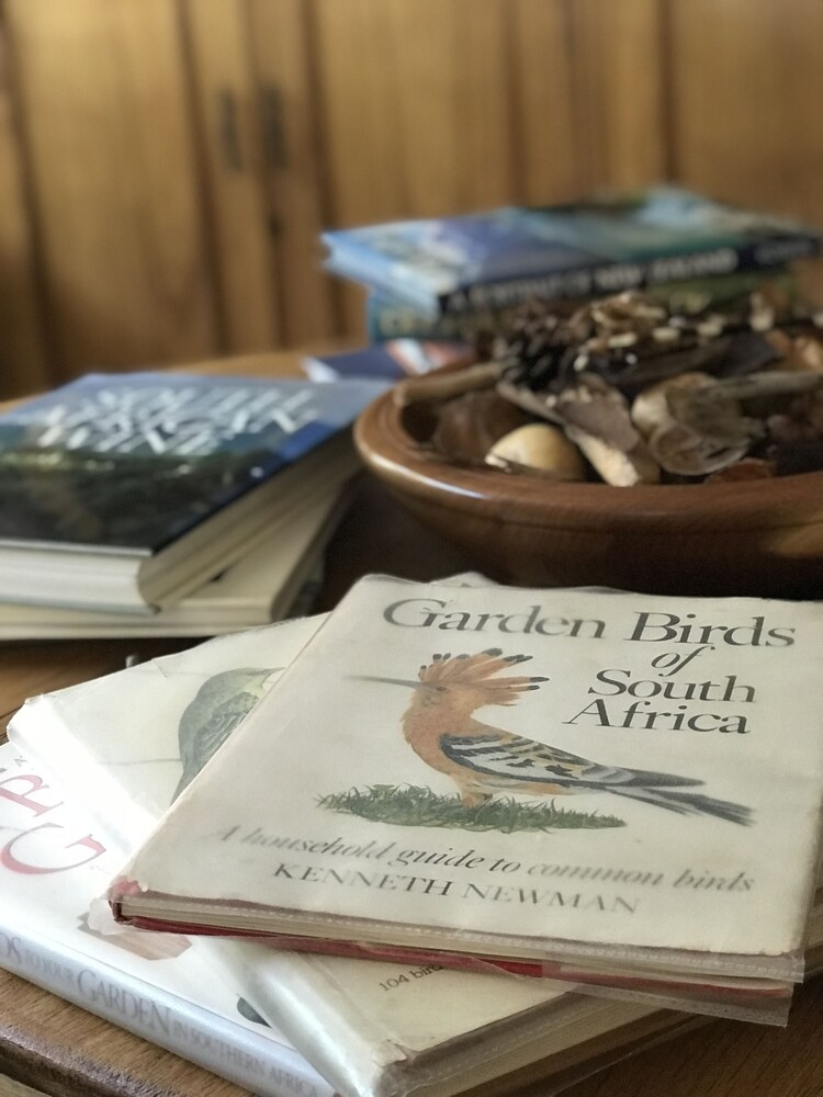 Claires of Sandton Luxury Guest House by null