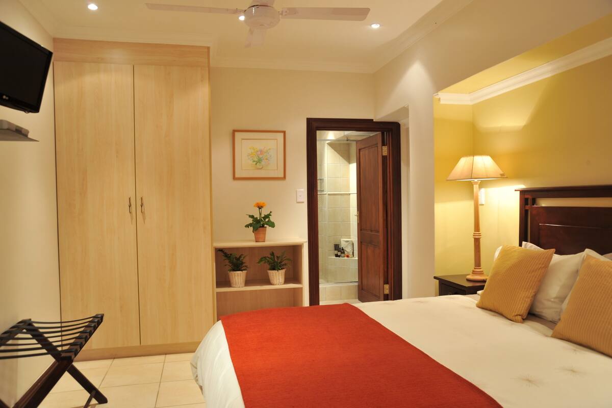 Una habitación de hotel con una cama, un armario, un televisor, una estantería con plantas, una puerta al baño y una mesita de noche con una lámpara.