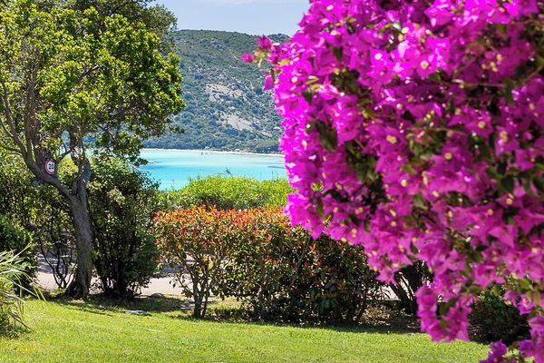 Villa SPA – 1 chambre – Vue mer | Vue sur la plage/l’océan