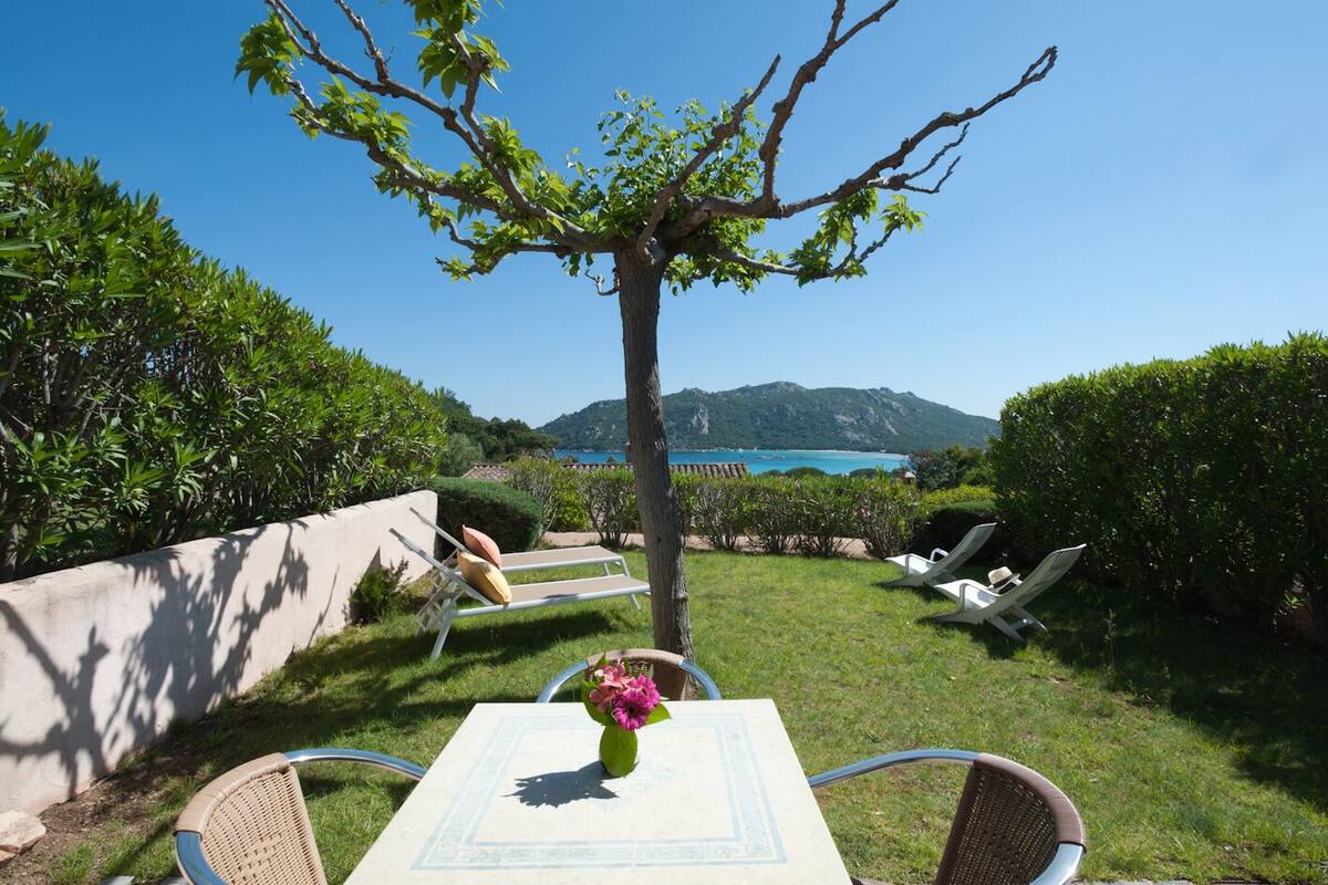 A patio with a table and chairs, a tree, and a view of the sea and mountains.