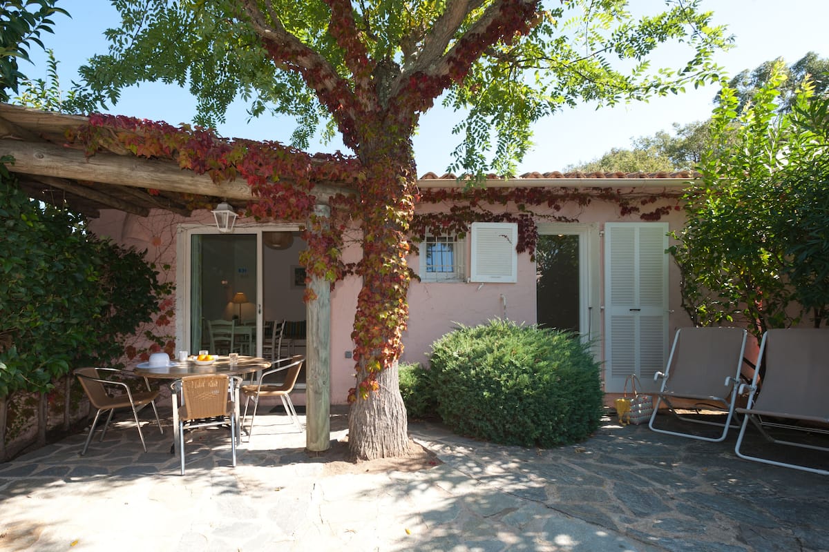 A patio with a table and chairs, a tree with ivy, and a building with shutters.